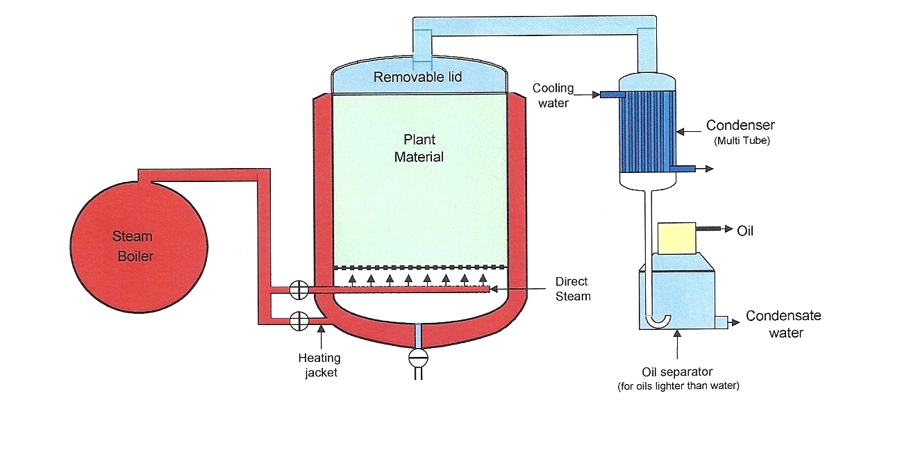 PLANTS AND DISTILLATION – FOREVER ENTWINED | Essential Oil Distillation ...